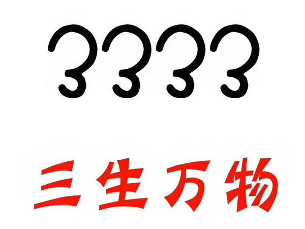 定陶尾號333吉祥號